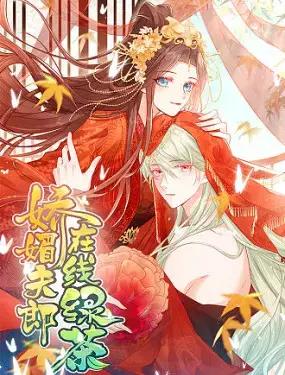 娇媚夫郎，在线绿茶（绿茶夫君）