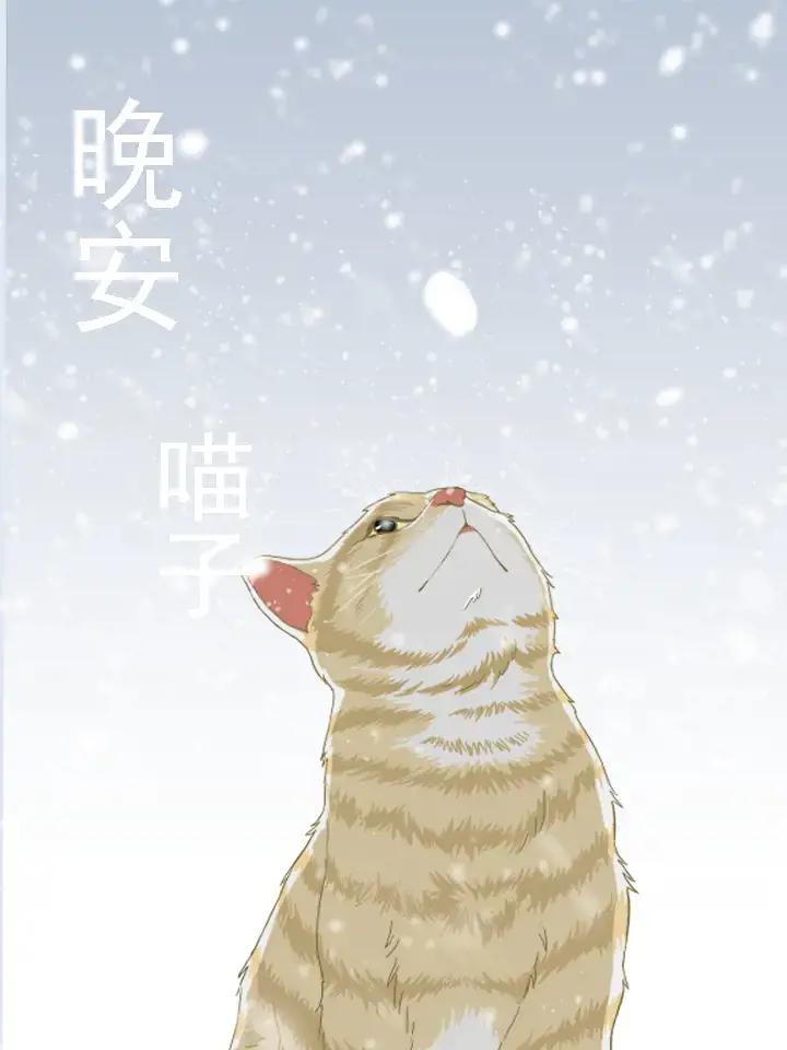 晚安 喵子